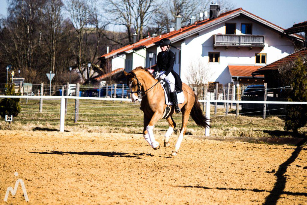 achilles_16